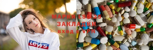 индика Богородицк