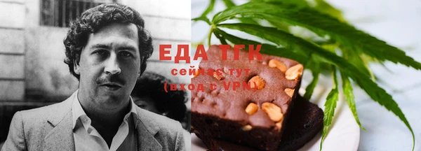 индика Богородицк