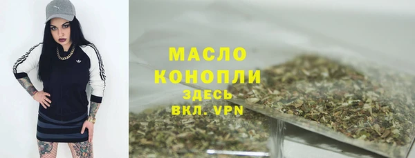 индика Богородицк