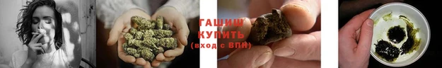 индика Богородицк