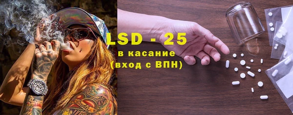 индика Богородицк
