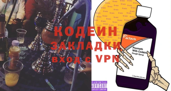 индика Богородицк