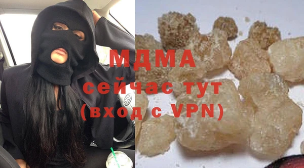 индика Богородицк