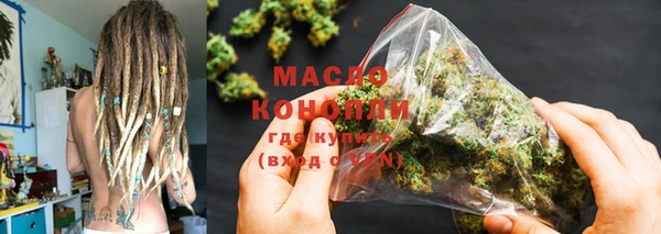 индика Богородицк